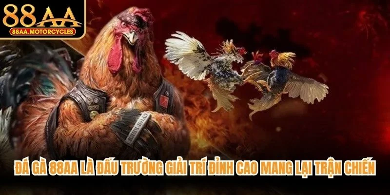 Đá gà 88AA là đấu trường giải trí đỉnh cao mang lại những trận chiến nảy lửa