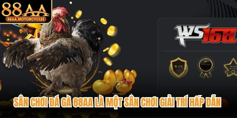 Sân chơi đá gà 88AA là một sân chơi giải trí hấp dẫn đầy kịch tính